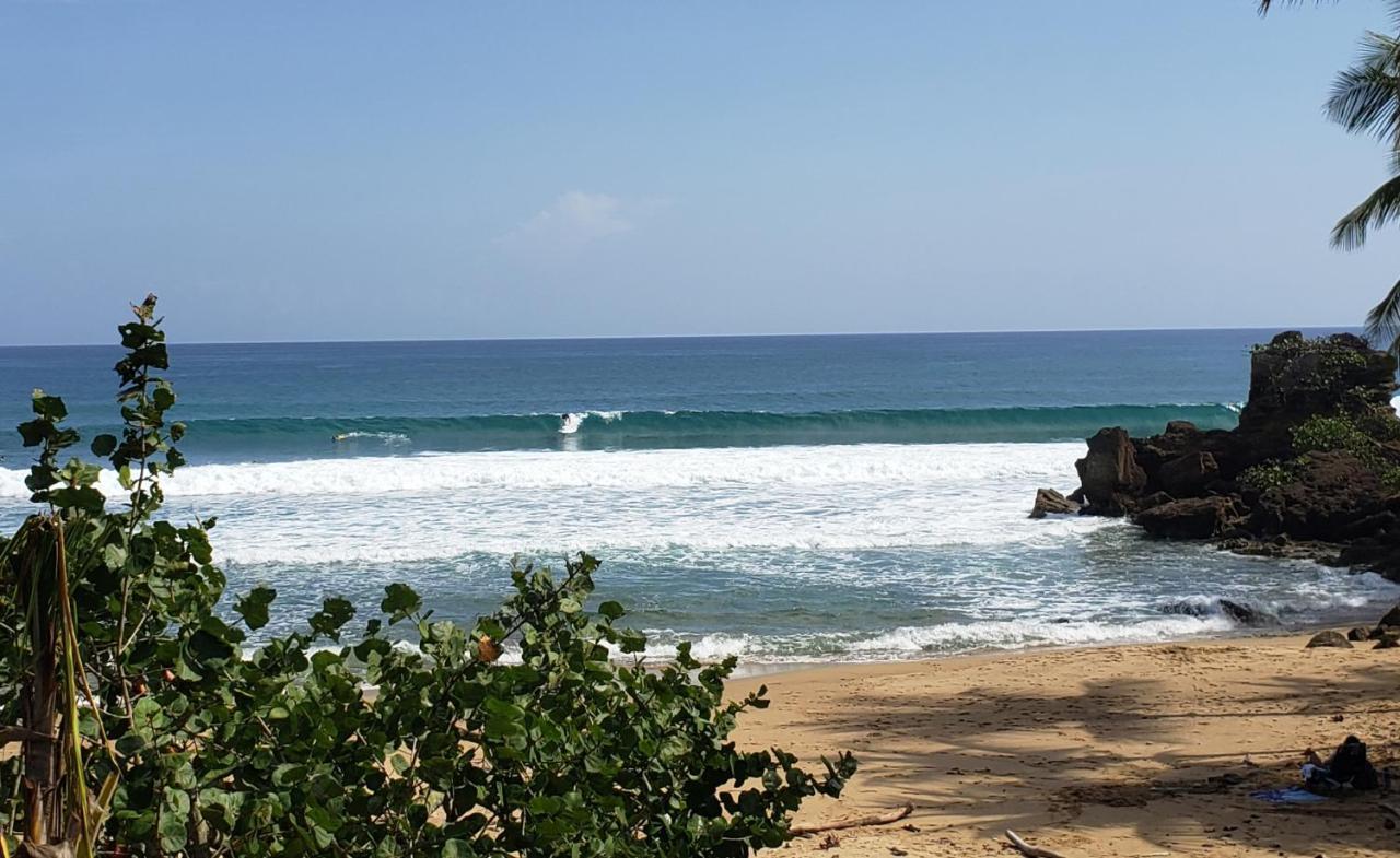 Wave View Village - Beach Front - Luxury Spot Rincon Exterior photo